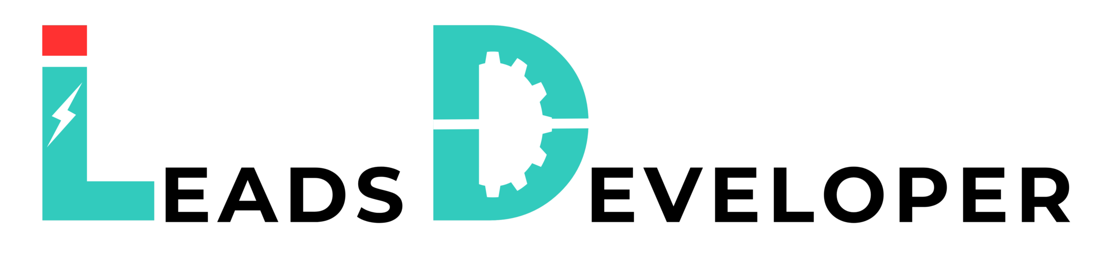 Leads Developer
